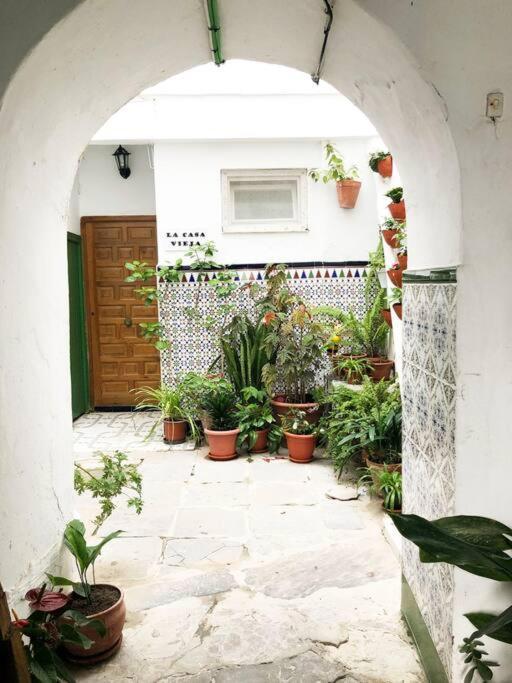 Casa Perla Blanca - A Hidden Gem In The Old Town Leilighet Tarifa Eksteriør bilde